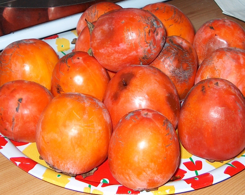 Frutta Cachi Rossi